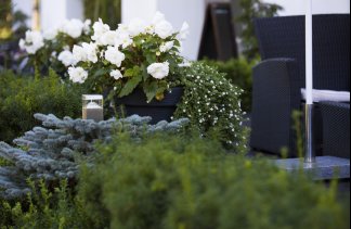 Hotele 3*** - Hotel Jantar - obiekt - zdjęcie 8 