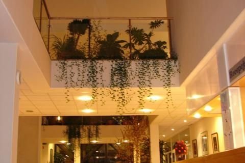 Obiekty szkoleniowe - Polska Akademia Nauk Dom Pracy Twórczej w Wierzbie - zdjęcie 2