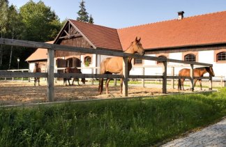 Hotele 5***** - Hotel SPA Dr Irena Eris Wzgórza Dylewskie - obiekt - zdjęcie 6 