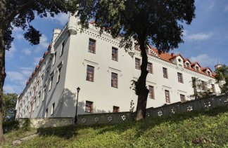 Hotele 4**** - Hotel Zamek Ryn - obiekt - zdjęcie 7 