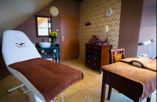 Hotele konferencyjne - Ognisty Ptak  - obiekt - zdjęcie 13 