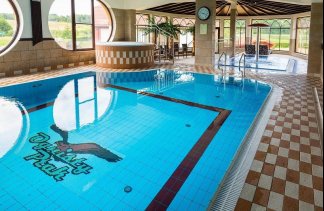 Hotele konferencyjne - Ognisty Ptak  - obiekt - zdjęcie 12 