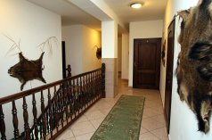 Hotele konferencyjne - Hotelik Myśliwski - zdjęcie 3