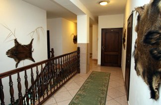 Hotele konferencyjne - Hotelik Myśliwski - obiekt - zdjęcie 3 