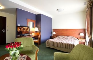 Hotele 4**** - Hotel & Spa Młyn - obiekt - zdjęcie 6 