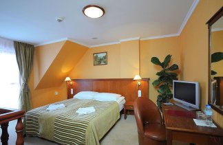 Obiekty konferencyjne - Manor Hotel - obiekt - zdjęcie 6 