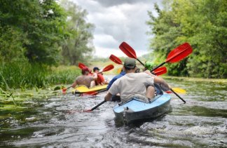 Hotele 4**** - Windsor Palace Hotel & Conference Center**** - service - zdjęcie 9 