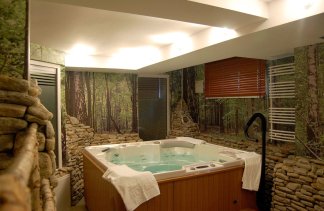 Hotele 3*** - Mercure Wisła Patria - obiekt - zdjęcie 7 