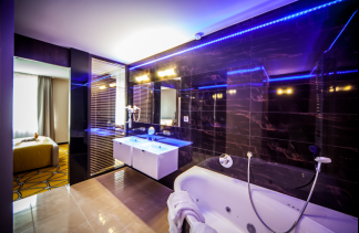 Hotele konferencyjne - Hotel Eclipse - obiekt - zdjęcie 4 