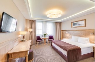 Hotele 4**** - Hotel Haffner - obiekt - zdjęcie 7 