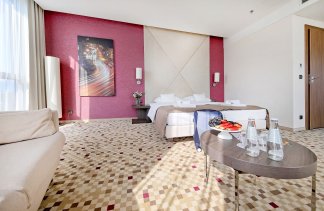 Hotele 4**** - Hotel Rzeszów - Pokoje - zdjęcie 4 