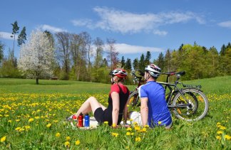 Wycieczki rowerowe