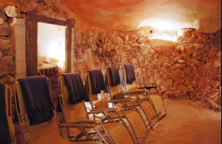 Centra konferencyjne - Hotel Przepióreczka - obiekt - zdjęcie 8 