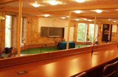 Pałace - Pałac Magnat - zdjęcie 4