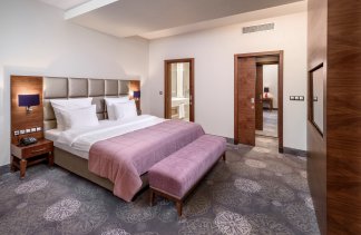 Hotele 4**** - Hotel Warszawianka Centrum Kongresowe - obiekt - zdjęcie 22 