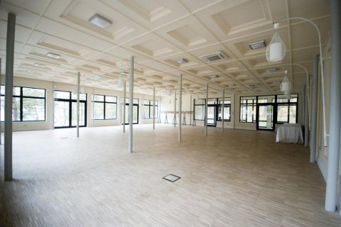 Ośrodki konferencyjne - Anapausis - zdjęcie 2