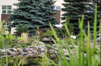 Hotele konferencyjne - Dzikie Wino - obiekt - zdjęcie 5 