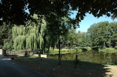 Zamki - Zamek Rokosowo - zdjęcie 4