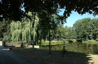 Zamki - Zamek Rokosowo - obiekt - zdjęcie 4 