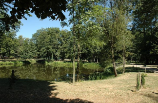 Zamki - Zamek Rokosowo - obiekt - zdjęcie 5 