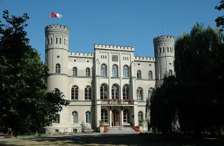 Zamki - Zamek Rokosowo - obiekt - zdjęcie 1 