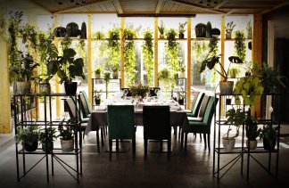 Hotele 4**** - Hotel Platinum Residence Butique**** - obiekt - zdjęcie 11 