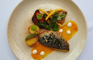 Hotele 4**** - Hotel Platinum Residence Butique**** - restaurant - zdjęcie 7 