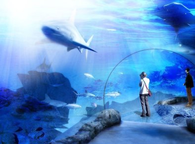 Afrykarium - sale konferencyjne Wrocław