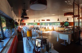 nowoczesne - Afrykarium - obiekt - zdjęcie 5 