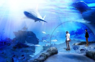 nowoczesne - Afrykarium - obiekt - zdjęcie 1 