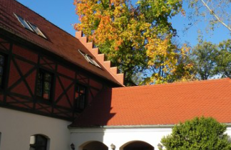 Zamki - Zamek Królewski we Wschowie - obiekt - zdjęcie 1 