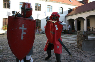 Zamki - Zamek Królewski we Wschowie - obiekt - zdjęcie 9 