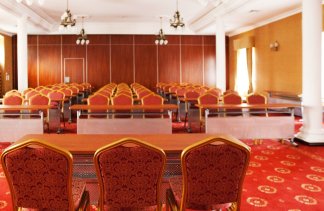 Pałace - Pałac Żelechów SPA & Wellness  - obiekt - zdjęcie 19 